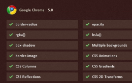 Chrome 5 - Ticking all the boxes